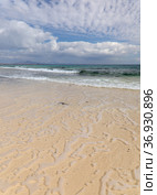Fuerteventura, Canary Islands, beaches collectively called Grandes Playas on the edge of Nature Park Dunes of Corralejo (2021 год). Стоковое фото, фотограф Tamara Kulikova / Фотобанк Лори