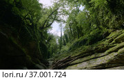 Кавказские горы. Каньон реки Кудепста. Субтропический лес. The Caucasus Mountains. Kudepsta River Canyon. Subtropical forest. Стоковое видео, видеограф Евгений Романов / Фотобанк Лори
