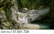 Кавказские горы. Каньон реки Кудепста. Субтропический лес. The Caucasus Mountains. Kudepsta River Canyon. Subtropical forest. Стоковое видео, видеограф Евгений Романов / Фотобанк Лори