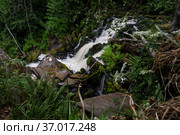 Yukankoski waterfall (also known as White bridges) on the river Kulismayoki. Стоковое фото, фотограф Юлия Белоусова / Фотобанк Лори
