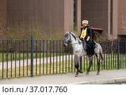 Священнослужитель в рясе и папахе,с крестом на груди, едет верхом на коне по тротуару вдоль металлического забора  весной. Красноярск. Россия. (2021 год). Редакционное фото, фотограф Светлана Попова / Фотобанк Лори