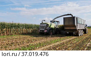 Agricultural machinery in the maize field produces seasonal harvesting for livestock feed. Стоковое видео, видеограф Яков Филимонов / Фотобанк Лори