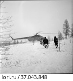 Несколько медиков идут по снегу в сторону вертолёта, врачи прилетели к больному в Чукотскую ярангу, гражданский вертолет на заснеженной поляне, Магадан, ноябрь 1967. Редакционное фото, фотограф Варфоломей Тетерин / Фотобанк Лори