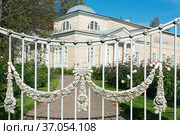 St. Petersburg, Russia - September 22, 2021: authentic cast iron floral ornament on fence of pavillon des roses, of roses pavilion in Pavlovskiy Park. Стоковое фото, фотограф Короленко Елена / Фотобанк Лори