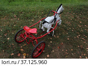 Коняшка педальная. Игрушка детская из СССР. Стоковое фото, фотограф Анатолий Матвейчук / Фотобанк Лори