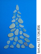 Christmas tree made of a pieces of seaglas. Стоковое фото, фотограф Tamara Kulikova / Фотобанк Лори