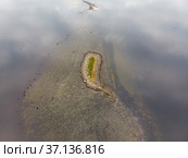Небольшой остров в Белом море. Соловецкий архипелаг. Острова корги и луды (2020 год). Стоковое фото, фотограф Яковлев Сергей / Фотобанк Лори