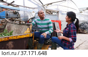 Couple of male and female hispanic workers talking and discussing something near forklift loader at farm. Стоковое видео, видеограф Яков Филимонов / Фотобанк Лори