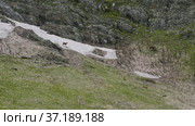 Северный Кавказ, гора Оштен. Кавказские серны на склоне горы. North Caucasus, Mount Oshten. Caucasian chamois (Rupicapra rupicapra caucasica) on the mountainside. (2021 год). Редакционное видео, видеограф Евгений Романов / Фотобанк Лори