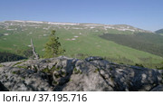 Северный Кавказ. Кавказский природный заповедник. Плато Лаго-Наки весной. North Caucasus. Caucasian nature reserve. Lago-Naki Plateau in spring. (2021 год). Редакционное видео, видеограф Евгений Романов / Фотобанк Лори