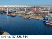 Санкт-Петербург, вид на Морской канал и портовые причалы с Канонерского острова (2019 год). Редакционное фото, фотограф glokaya_kuzdra / Фотобанк Лори