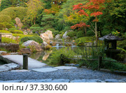 A new pond garden or yoko-en of Taizo-in temple at autumn. Kyoto. Japan. Стоковое фото, фотограф Сергей Пристяжнюк (Serg Zastavkin) / Фотобанк Лори