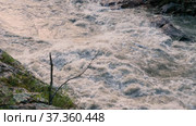 Кавказские горы, Адыгея. Река Белая в Гранитном каньоне. The Caucasus Mountains, Adygeya. Belaya river in the Granite gorge. Стоковое видео, видеограф Евгений Романов / Фотобанк Лори