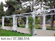 Пергола (колоннада) в Приморском парке в Алуште. Крым. Россия (2021 год). Редакционное фото, фотограф stargal / Фотобанк Лори