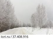 Russian rural road covered with white snow. Стоковое фото, фотограф Александр Клёнов / Фотобанк Лори
