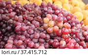 Bunches of ripe organic red grape for sale in the product store. Стоковое видео, видеограф Яков Филимонов / Фотобанк Лори