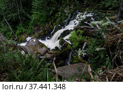 Yukankoski waterfall (also known as White bridges) on the river Kulismayoki. Стоковое фото, фотограф Юлия Белоусова / Фотобанк Лори