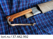 Большой нож с темляком и в ножнах. Рубило лесное. Стоковое фото, фотограф Анатолий Матвейчук / Фотобанк Лори