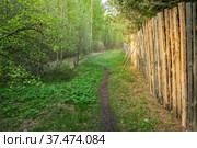 Path along the fence of pine boards. Стоковое фото, фотограф Дмитрий Тищенко / Фотобанк Лори
