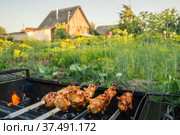 Meat on skewers on the grill. Стоковое фото, фотограф Дмитрий Тищенко / Фотобанк Лори