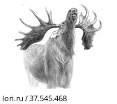 Рисунок лося на реву с шикарными рогами. Стоковая иллюстрация, иллюстратор Марина Чистякова / Фотобанк Лори