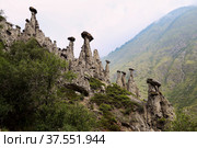 Каменные грибы в урочище Аккурум, Алтайский заповедник, Улаганский район Республики Алтай (2019 год). Редакционное фото, фотограф Римма Тельнова / Фотобанк Лори