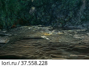 Subterranean landscape, speleotremes in an underground cave. Стоковое фото, фотограф Евгений Харитонов / Фотобанк Лори
