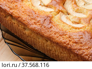 Delicious apple pie baked. Стоковое фото, фотограф Владимир Белобаба / Фотобанк Лори