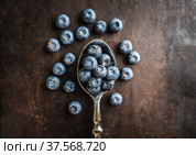 Ложка с голубикой на темном фоне. Ягодный фон. Стоковое фото, фотограф Андрей Пустякин / Фотобанк Лори