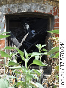Close-up of a basement window of abandoned fire ruins with charry wooden logs inside and unfocused weeds in the foreground. Стоковое фото, фотограф Игорь Мальцев / Фотобанк Лори
