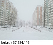 Москва, апрель 2022. Сильный снегопад, который обрушился в Москве в апреле. Стоковое фото, фотограф Мила Демидова / Фотобанк Лори