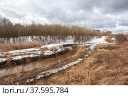 Муринский ручей. Муринский Парк. Санкт-Петербург (2022 год). Стоковое фото, фотограф Сергей Афанасьев / Фотобанк Лори
