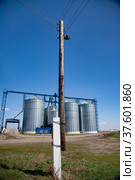 Modern grain storage elevator (on background) and vintage wooden electric pole on front. Стоковое фото, фотограф Alexey Rezvykh / Фотобанк Лори