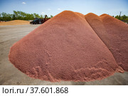 Heap of red wheat grain. Spring sowing campaign. Blue sky background. Стоковое фото, фотограф Alexey Rezvykh / Фотобанк Лори