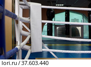Boxing ring of fighting club Excalibur. (2022 год). Редакционное фото, фотограф Сергей Пристяжнюк (Serg Zastavkin) / Фотобанк Лори