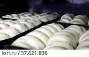 The dough embedded in the molds is ready for baking loaves. Стоковое видео, видеограф Igor Bastrakov / Фотобанк Лори