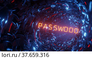 Enter your account. Set of passwords on the entrance page. Стоковое видео, видеограф Alexander / Фотобанк Лори