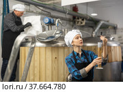 Female brewer using digital hydrometer for measuring beer density. Стоковое фото, фотограф Яков Филимонов / Фотобанк Лори