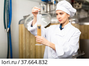 Woman brewer measuring alcoholic content in beer with hydrometer. Стоковое фото, фотограф Яков Филимонов / Фотобанк Лори