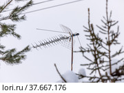 TV antenna in the middle of the forest. Стоковое фото, фотограф Юрий Шурчков / Фотобанк Лори