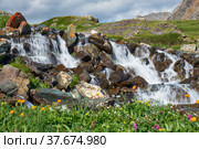 Waterfall on Altai river Yarlyamry. Cascade on the stream is surrounded by alpine forb meadows. Стоковое фото, фотограф Сергей Пристяжнюк (Serg Zastavkin) / Фотобанк Лори