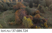 Aerial video of small forest river in central Russia region. Beautiful autumn landscape from above. Moscow region, Russia. Стоковое видео, видеограф Julia Shepeleva / Фотобанк Лори