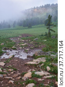 Morning fog in mountains. Стоковое фото, фотограф Сергей Пристяжнюк (Serg Zastavkin) / Фотобанк Лори
