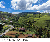 Sri Lanka. Nuwara Eliya region. Alpine green tea plantations on the slopes of the mountains. Shooting from the air on a drone. Sunny day, blue sky with clouds. (2021 год). Редакционное фото, фотограф Yuriy Savin / Фотобанк Лори