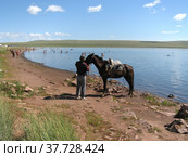Лошадь привели на водопой к пресному ручью, впадающему в соленое озеро Тус в Хакасии (2010 год). Редакционное фото, фотограф Анатолий Владимирович Шипицин / Фотобанк Лори