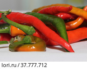 Spicy chili. Astrakhan pepper. Стоковое фото, фотограф Елена Бобкова / Фотобанк Лори