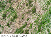 Landscape of a mountain slope with weathered rocks and screes covered with shrubs. Стоковое фото, фотограф Евгений Харитонов / Фотобанк Лори
