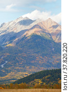 Beautiful rocky mountains and yellowed forest in a foothill valley on an autumn day. Natural background, mountain landscape. Russia, Siberia, Buryatia, Eastern Sayans, Baikal region. Стоковое фото, фотограф Виктория Катьянова / Фотобанк Лори
