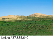 Semi-desert landscape in the vicinity of the Sarykum sand dune (2022 год). Редакционное фото, фотограф Евгений Харитонов / Фотобанк Лори