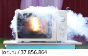 Short circuit in microwave oven wiring led to an electrical fire. Стоковое видео, видеограф Владимир Григорьев / Фотобанк Лори